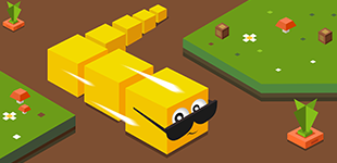 game image